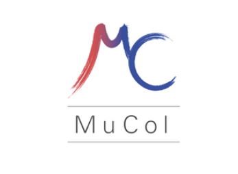 MuCol UHF solenoids topical workshop at CERN